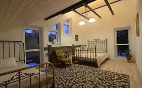 Vilnius Luxury Apartment 2